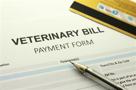 payment plan for vet bills.